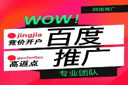 百度推广操作指南：案例解析